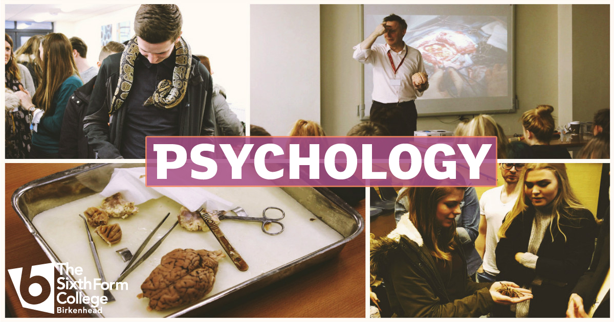 Image of Psychology Set To Remain Students' Most Popular Choice