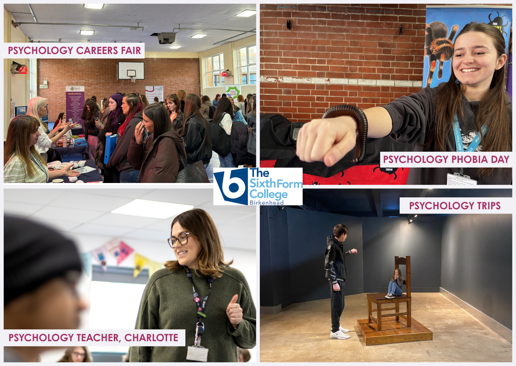 Image of Exploring the Human Mind: Psychology A Level at Birkenhead Sixth Form College