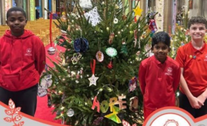 Image of St Aldhelm’s Christmas Tree Festival 2025