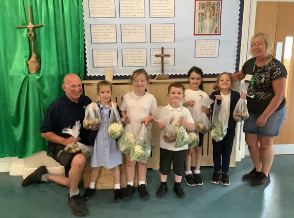 Image of Children learn to Live Simply by growing fruit and veg at school