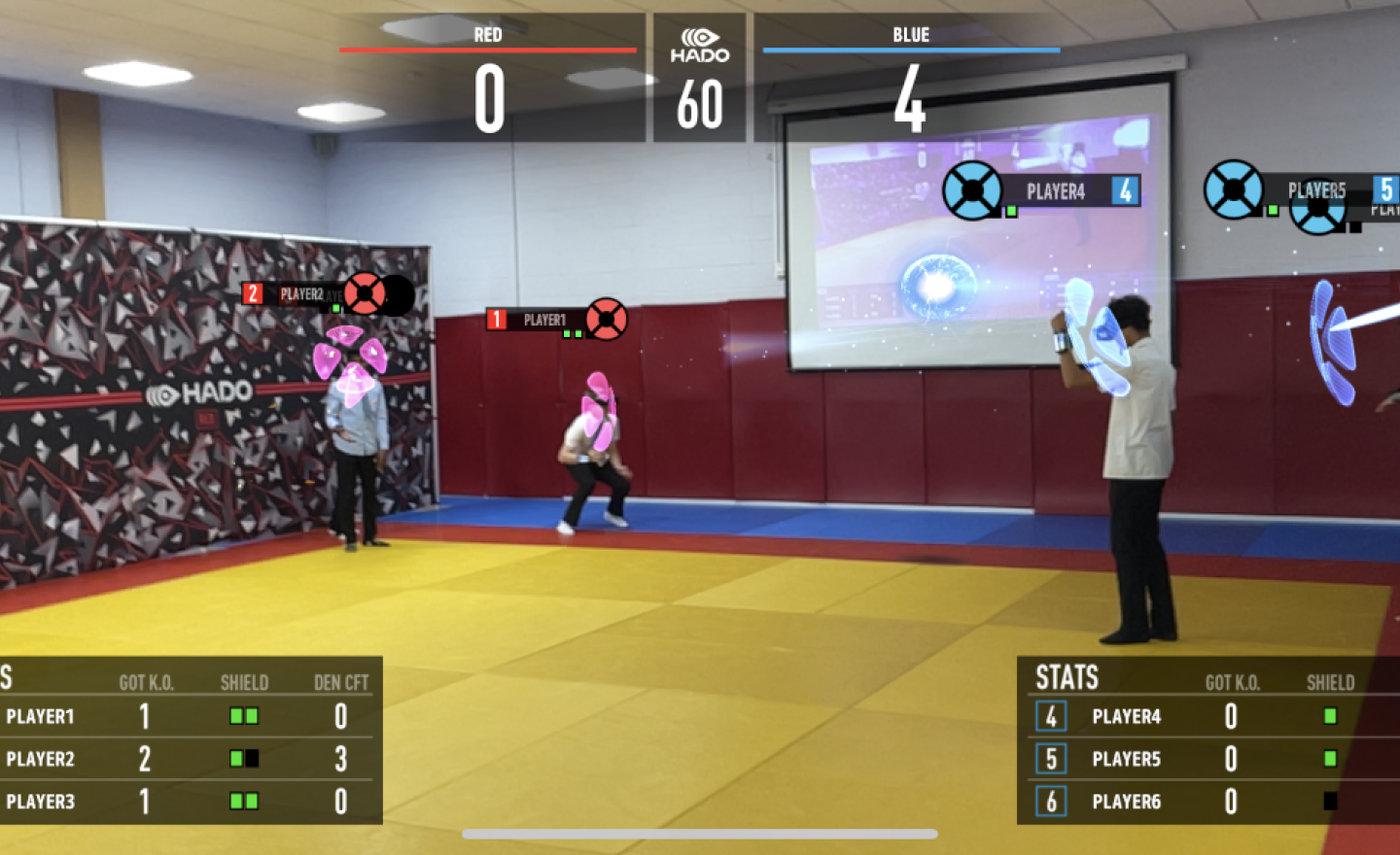 Image of Hado in the Dojo