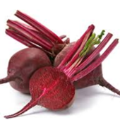 Beetroot