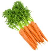 Carrots