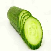 Cucumber