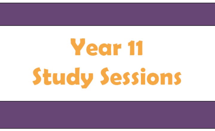 Image of Year 11 Study Sessions