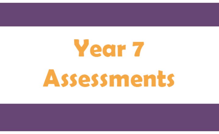 Image of Year 7 Assessments