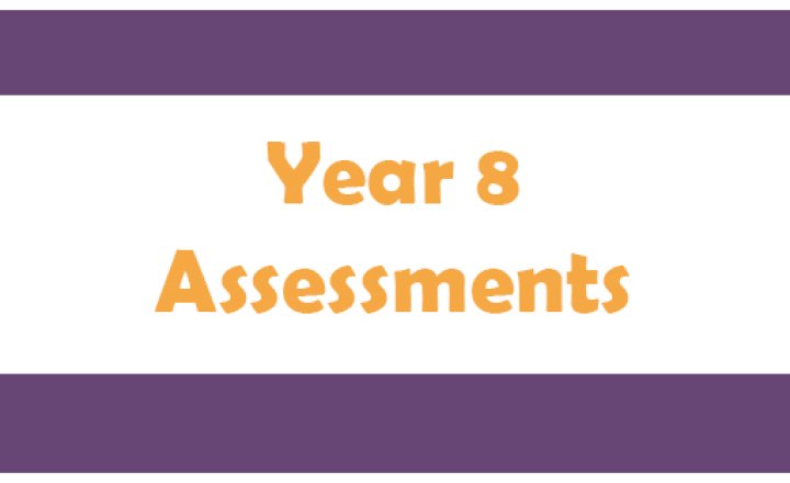 Image of Year 8 Assessments