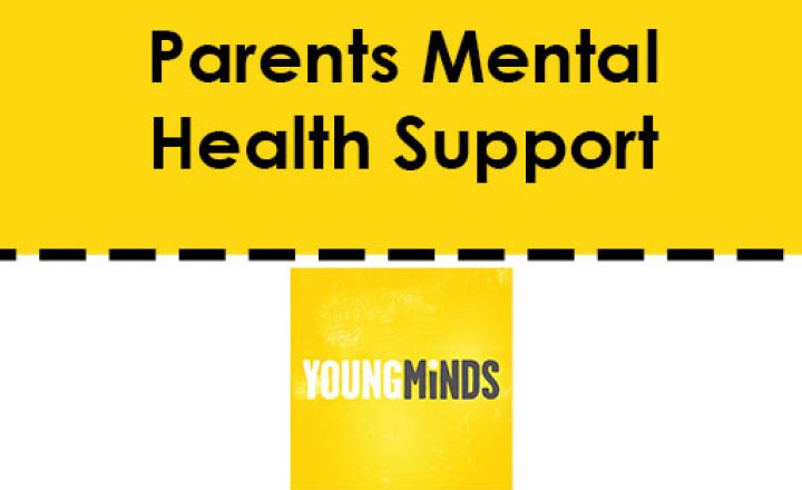 Image of Young Minds Parent Support