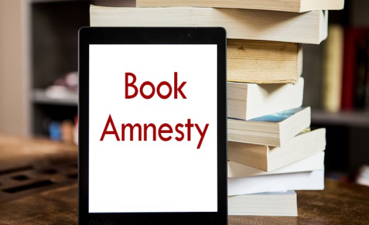 Image of Book Amnesty