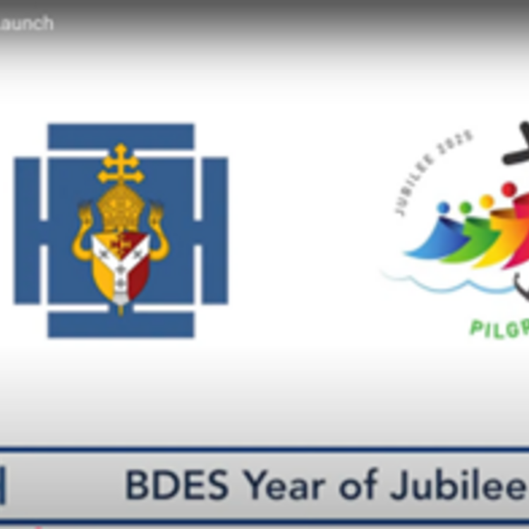 Image of January - BDES Live Launch