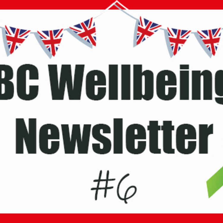 Image of BC Wellbeing Newsletter