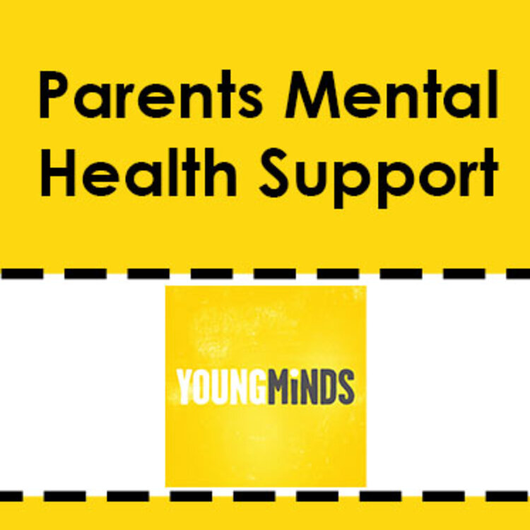 Image of Young Minds Parent Support