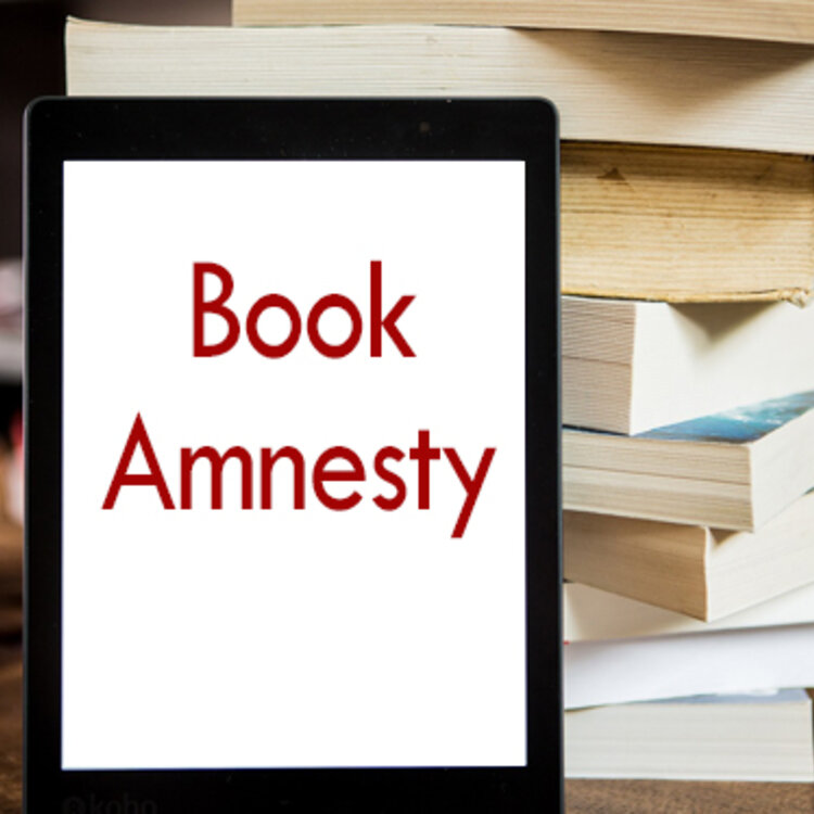 Image of Book Amnesty