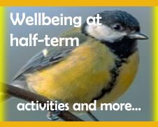 Image of Wellbeing at half-term