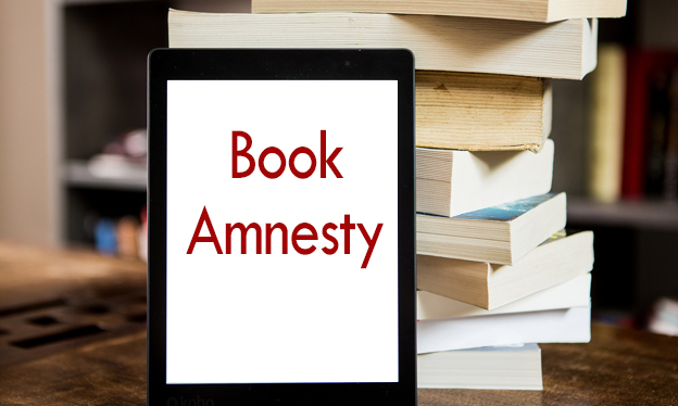 Image of Book Amnesty