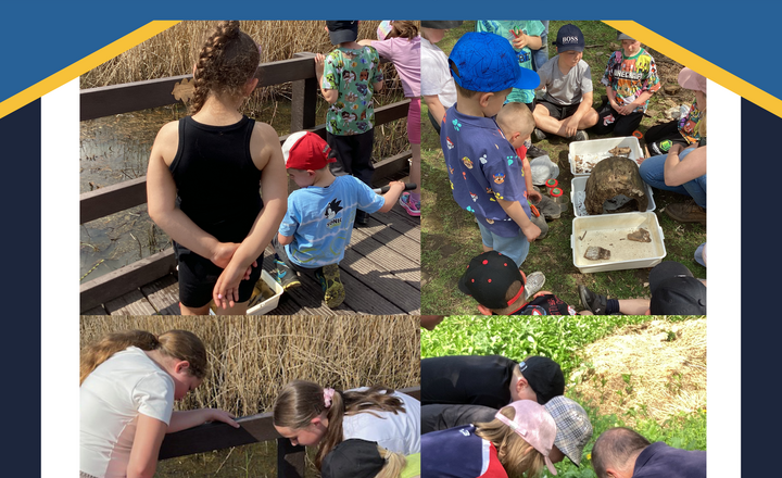Image of St. Chad’s Catholic Primary School Set to Receive RSPB Schools Challenge Gold Award: