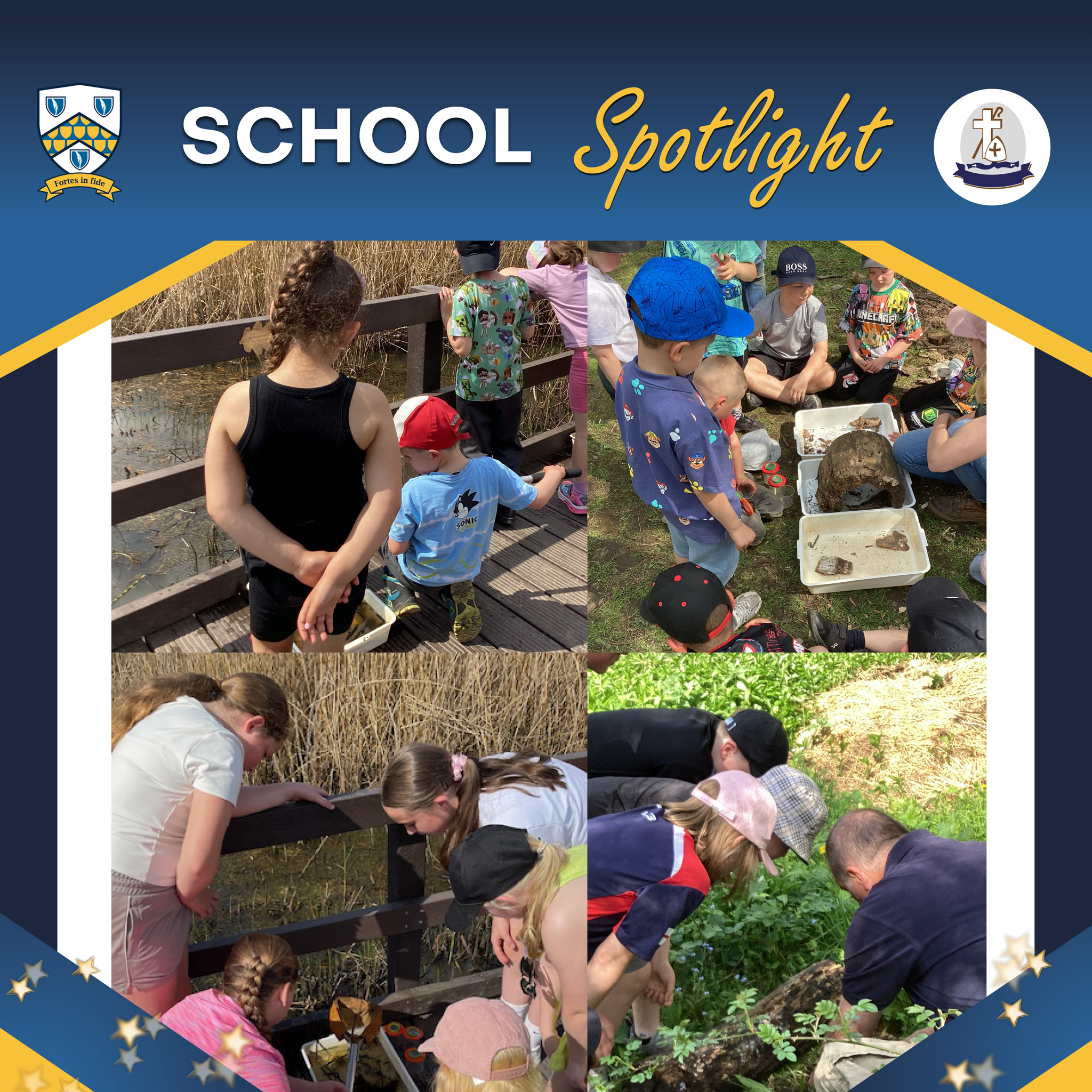 Image of St. Chad’s Catholic Primary School Set to Receive RSPB Schools Challenge Gold Award: