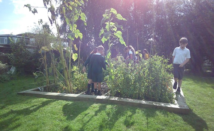 Image of Year 5 Visit Local Nature Reserve