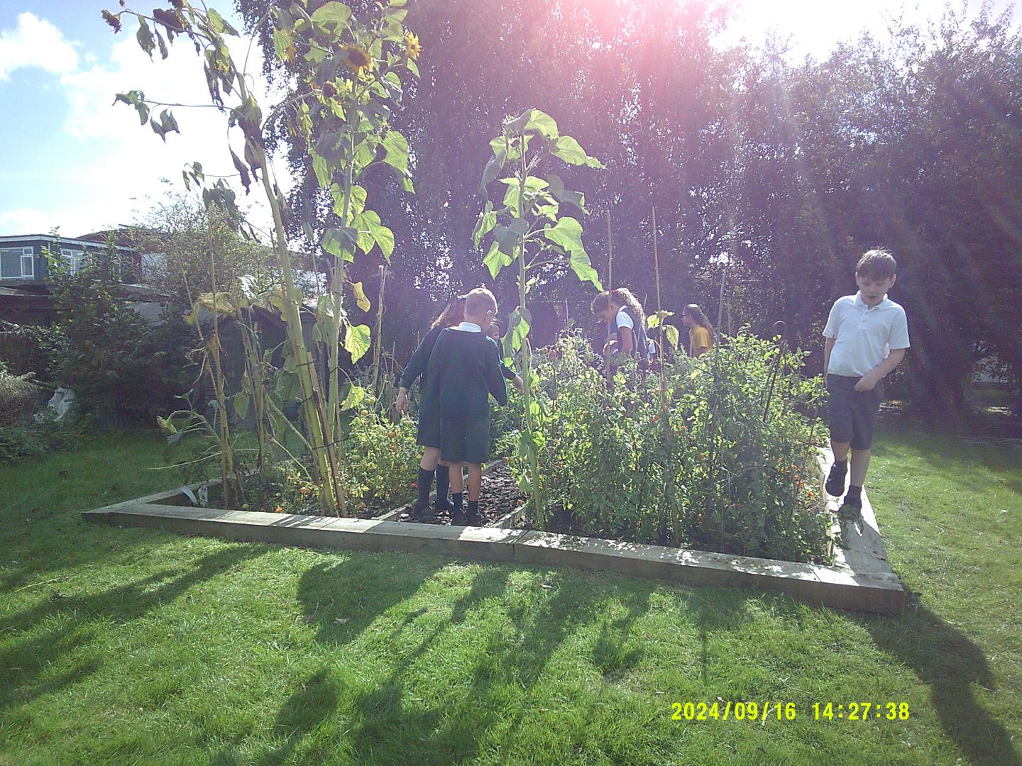 Image of Year 5 Visit Local Nature Reserve