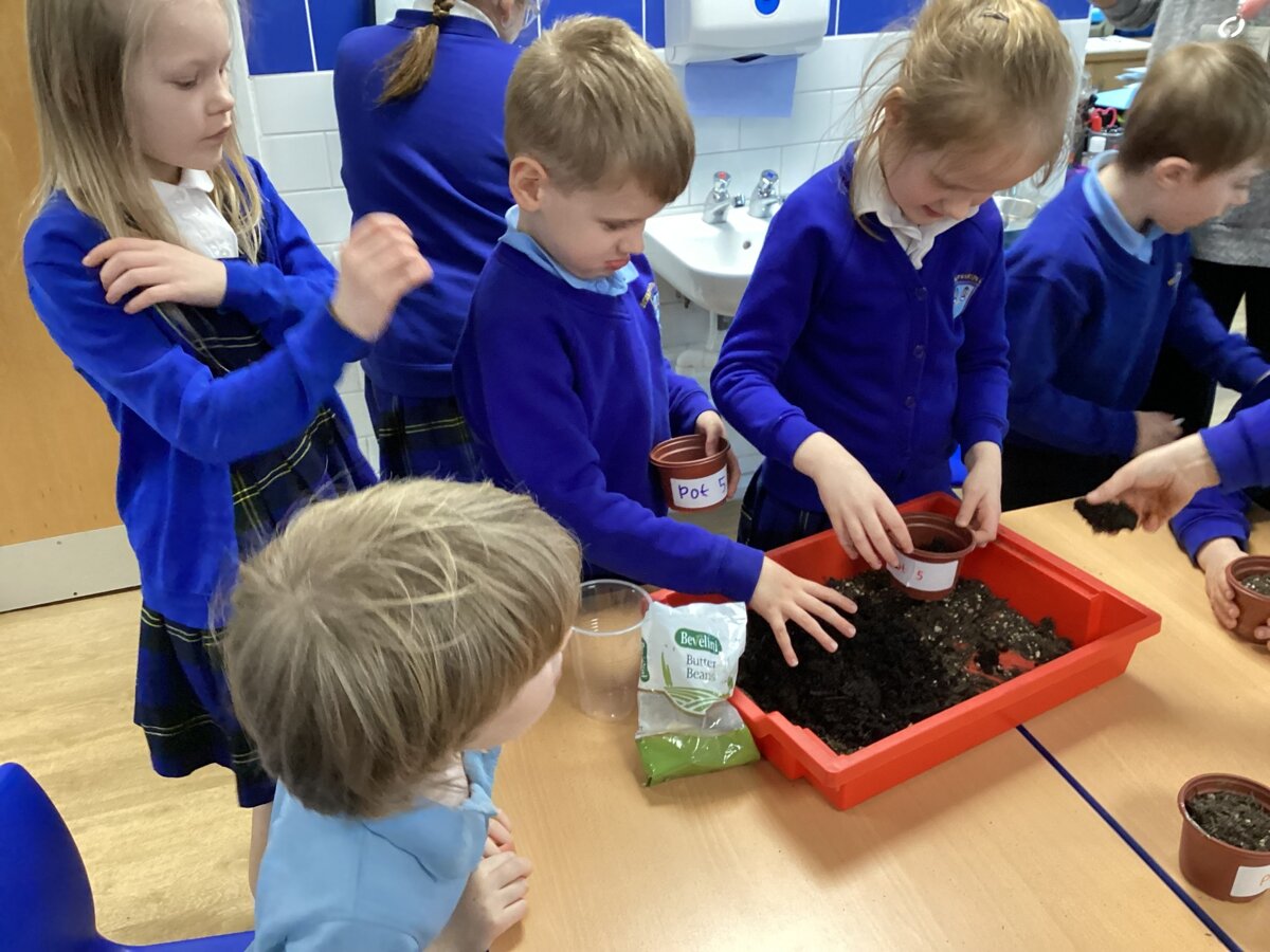 year 2 science plants experiments