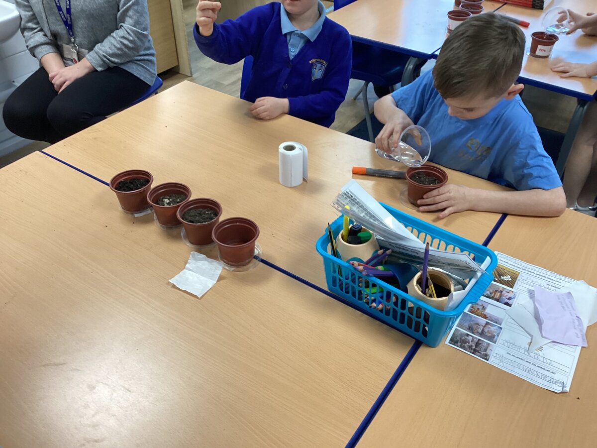 year 2 science plants experiments