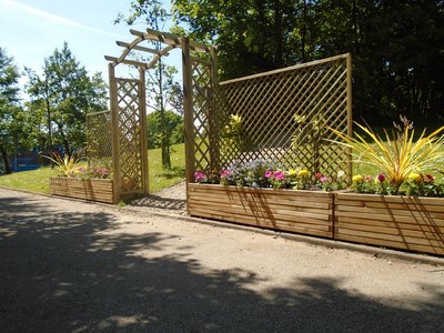 Image of Values Walk