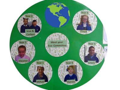 Image of eco
