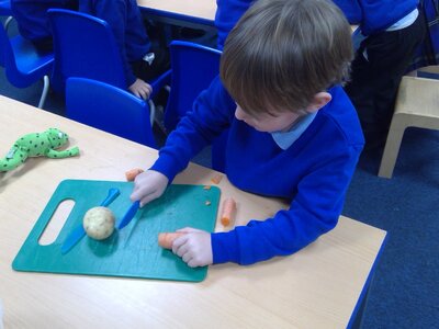Image of Harvest Vegetable Soup Making