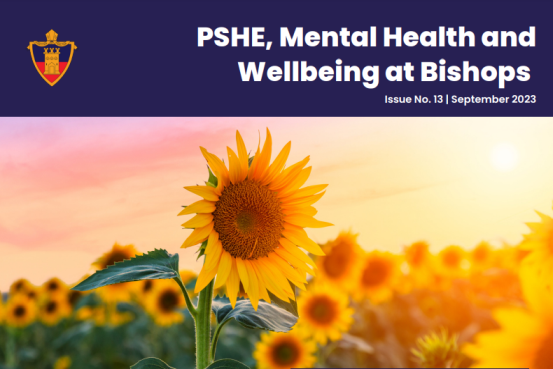 Image of PSHE, Mental Health and Wellbeing Newsletter Issue 13 available now