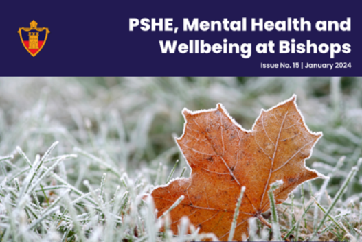 Image of PSHE, Mental Health and Wellbeing Newsletter Issue 15 available now