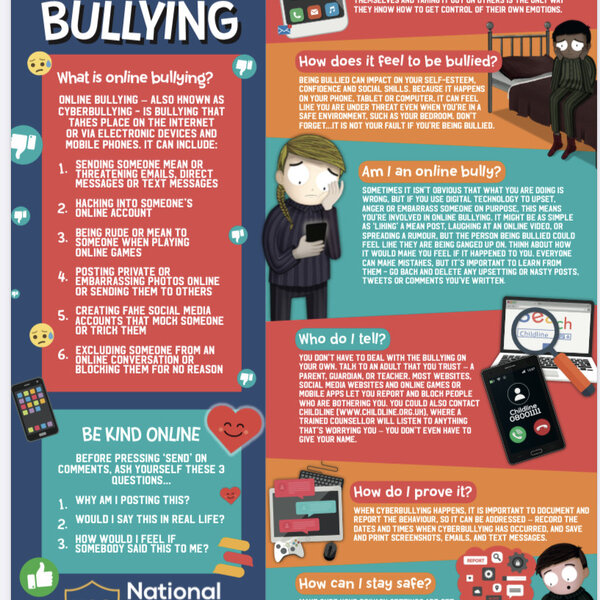 Image of National Online Safety - Online Bulling