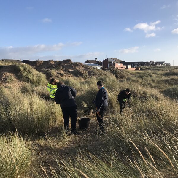 Image of Fylde Sand Dune Project