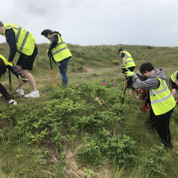 Image of Fylde Sand Dune Project