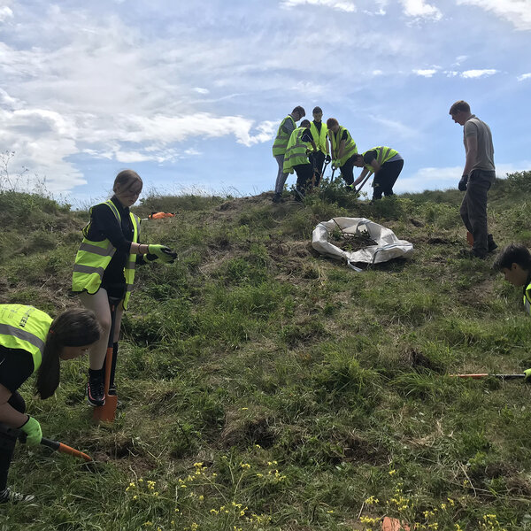 Image of Fylde Sand Dunes Project update