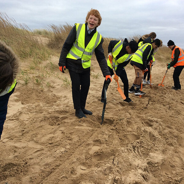 Image of Christmas tree planting 2024