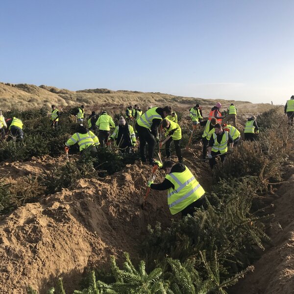 Image of Fylde Coast sand dune project