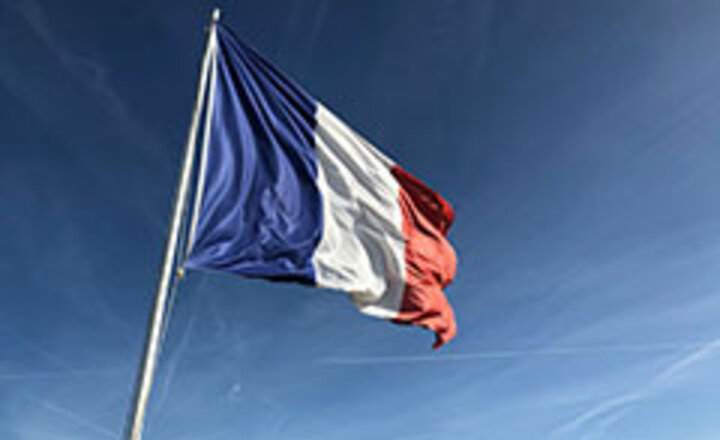 Image of Year 11 French