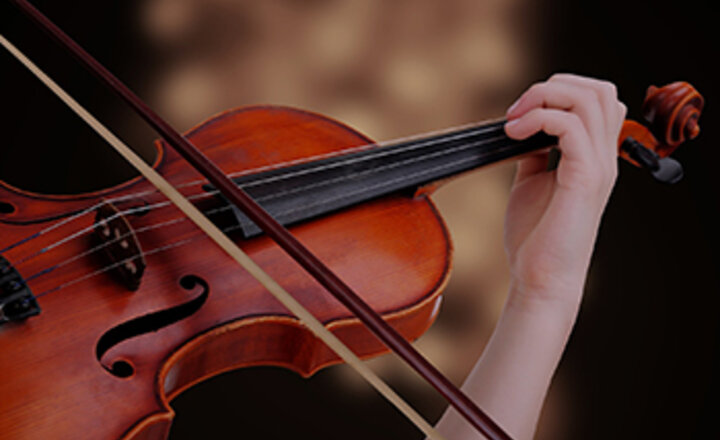 Image of String instrument lessons