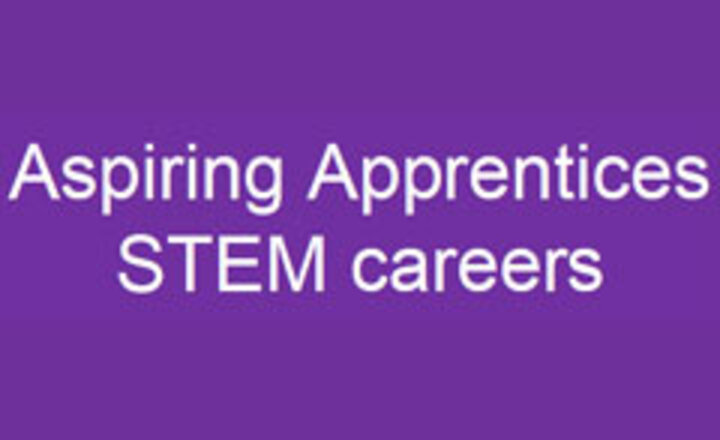 Image of Aspiring Apprentices STEM careers