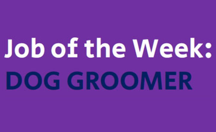 Image of Job of the week!