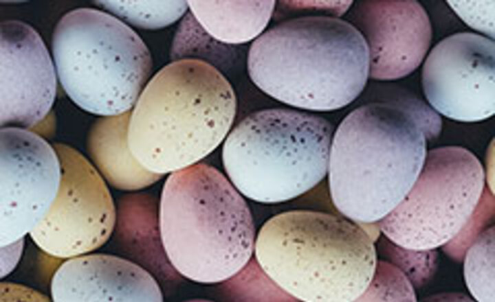 Image of Easter School