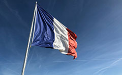 Image of Year 11 French