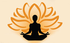 Image of The Zen Den