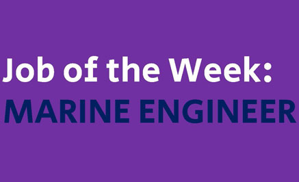 Image of Job of the week!
