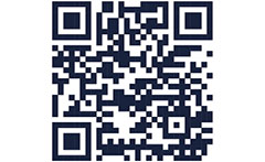 Image of Holiday Activity and Food