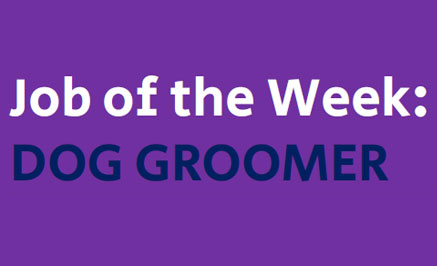 Image of Job of the week!