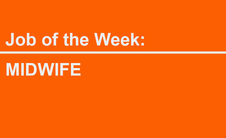 Image of Job of the week!