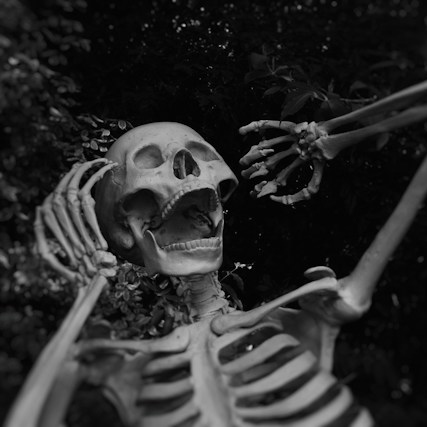 Image of Halloween workshop