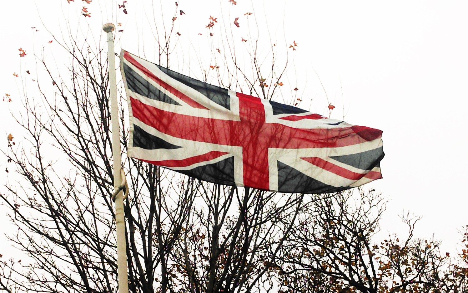 Image of Remembrance Day