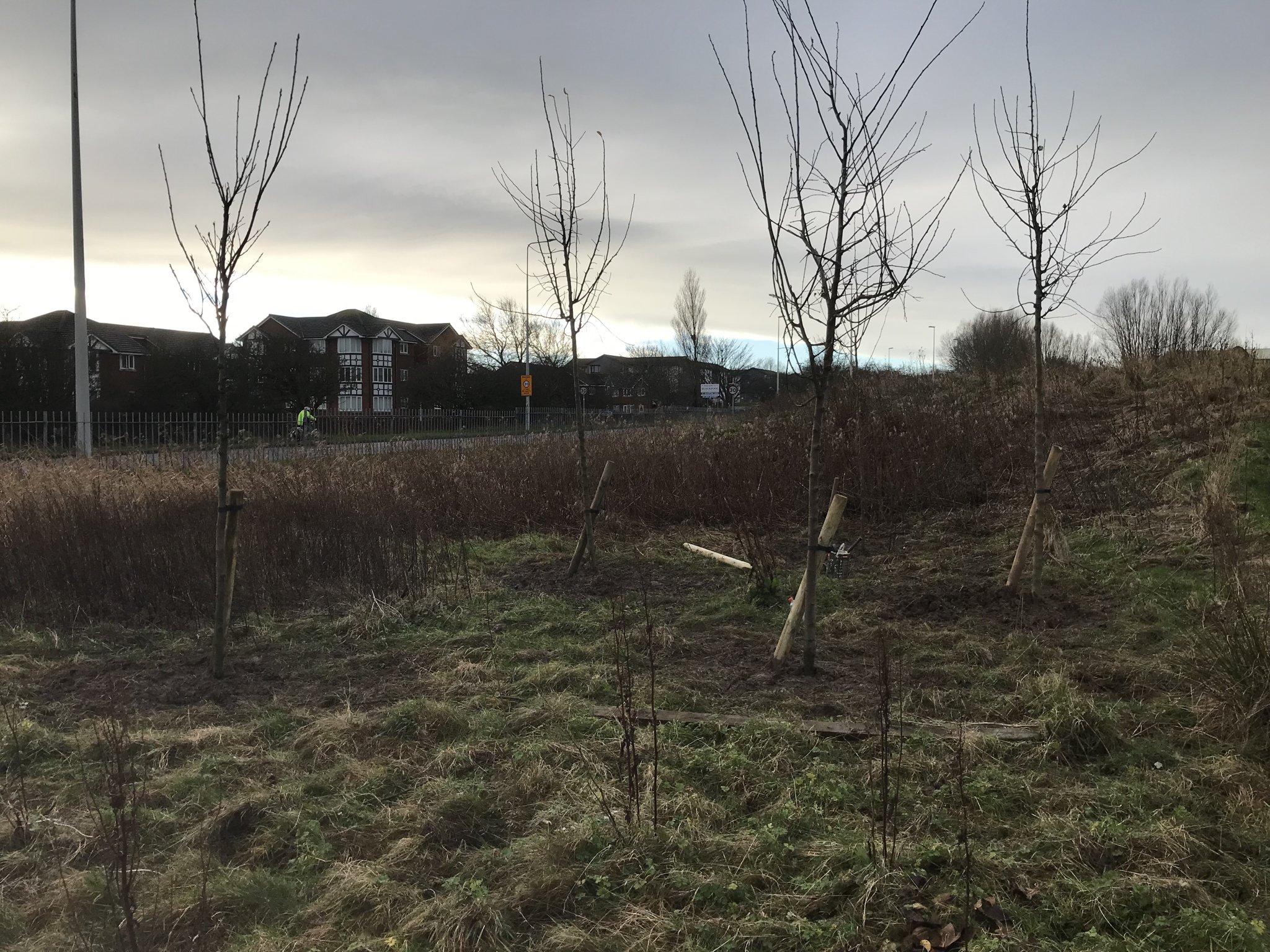 Image of Tree planting workshop